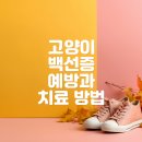 하나로동물병원 이미지