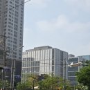 씨유 영등포꽃밭정원점 | 오랜만에 문래동 꽃밭정원 방문 후기 | 도심 속 힐링 정원, 꽃멍 제대로 했어요 🌿
