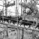 태위로663번길 이미지