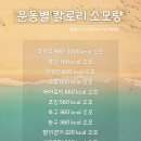 대원중학교 이미지