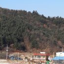 외칠2리 Daum카페