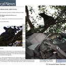 소리나무(주) 이미지