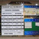 차이나밍베이 | 상남동 중국집 맛집, 차이나밍베이 방문후기