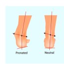 디오필라앤핏 오목교점 이미지