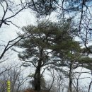 동막농장 이미지