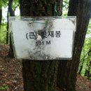 뒷재봉 정상(501m) 이미지