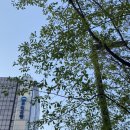 서이동물병원 이미지