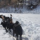 골짜구니농장 이미지