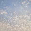 한세골도로앞천 | 2025.06.06 (금) - 06.08 (일) ZTREK 지트렉 정선 (2)