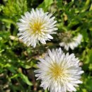 다이나믹지역아동센터 이미지