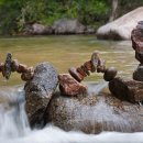 손안에 작은 꽃밭 이미지