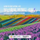 여행사 직원이 추천하는 부산출발 삿포로 여행 코스 추천! 3박 4일 북해도 패키지 선착순 특가 예약하기