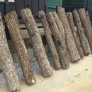 금오2농장 이미지