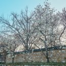 인물 데생 . 수채화(야간) | &#34;예산 김정희 추사고택 봄꽃 향연 – 낮과 야간의 감성을 깨우는 선비 문화 여행&#34;