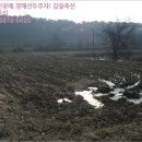 동막동(3) 네이버블로그