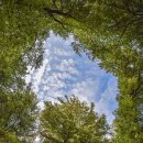 수정한의원 이미지