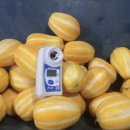 유가네농장 이미지