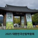 2025 광주 어린이 상상극장 <나무의 아이> | 경기광주 산림박람회 2025 곤지암도자공원 첫 날 후기