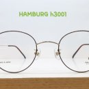 H3001 네이버블로그