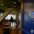 알펜시아 스포츠파크 바이애슬론 경기장 이미지