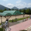 입석초등학교 이미지