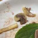 소곡마을회관 | 제주 세화 제주산 소고기 맛집 &#39;우미정&#39;