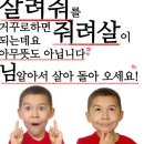 살려줘를 거꾸로하면 줘려살_유데미x스나이퍼팩토리 콘텐츠디자인 인턴형 프로그램 1기