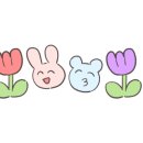 수지비빔밥 이미지