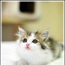 3 당구클럽 이미지