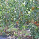 정훈농장 이미지