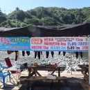 학포마을회관 네이버블로그