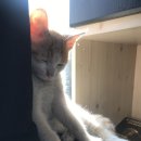 마성자동차공업사 이미지