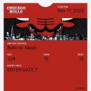 W.Games | 🇺🇸🏀미국 교환학생의 NBA 3번 직관한 후기 | 시카고 불스 티켓•경기장•유니폼•주의사항 정리