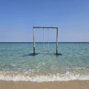 아이보리매직 이미지