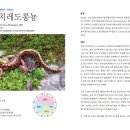 [신간안내] 한국 양서류 생태 도감 이미지