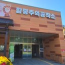 팜파스휴게식당 | 전남 함평 뚜벅이 당일치기 여행 코스 - 함평엑스포공원, 수산봉 천지길, 육회비빔밥 거리 및 함평천지...