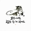 용호네횟집
