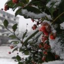 즐겨찾기공인중개사사무소 이미지