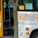 동백A(1차) 이미지