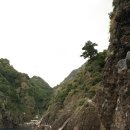 (주)울릉도여행사