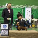 쿠어츠바인에 이미지