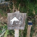 전원풍경 house | [일본/대마도] 히타카츠 숙소 | 화이트하우스(White House) 🏠🌐🤍