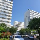 현대 사원아파트 앞 공원 이미지