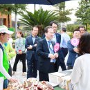 여성도시 이미지