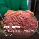 한우꽃 | 양산 최고급 한우 소고기 맛집 금꽃한우 방문 후기