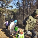 영천곤충