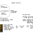 H3974 Daum카페