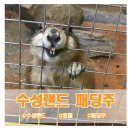 (주)수성랜드 이미지