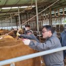 사산축산 이미지