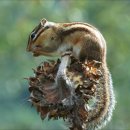 향훈농장 이미지